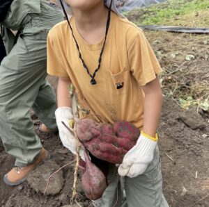 さつまいもほり会2025